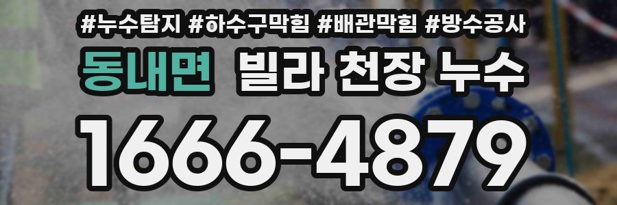 동내면 빌라 천장 누수