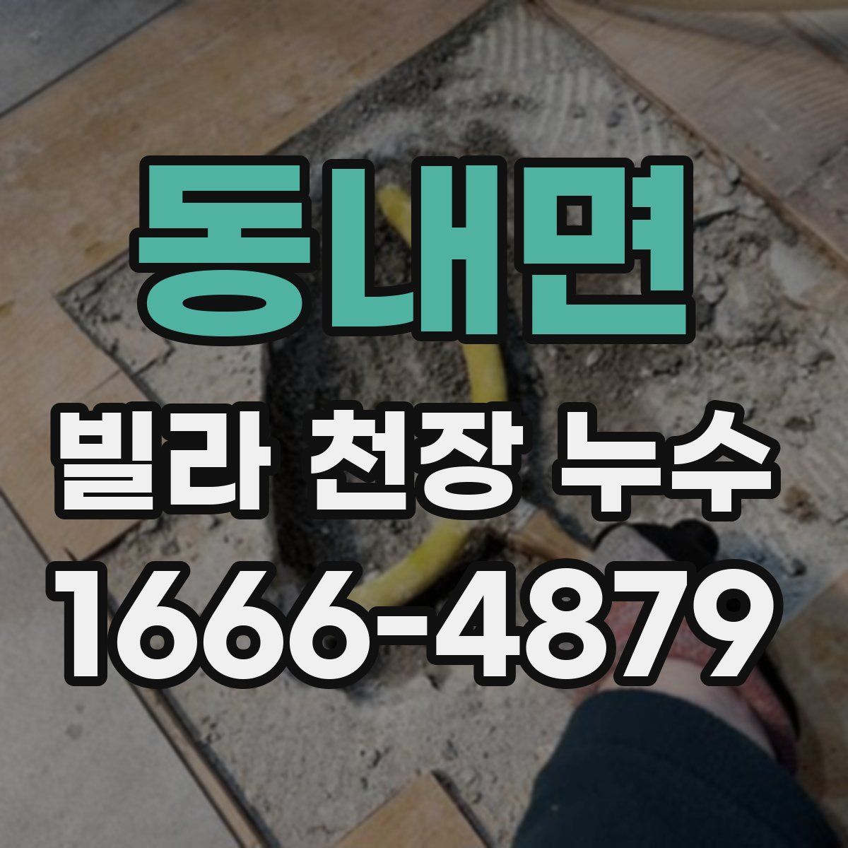 동내면 빌라 천장 누수