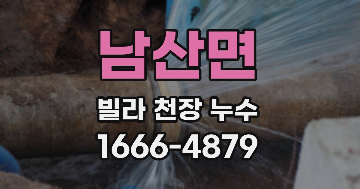 남산면 빌라 천장 누수