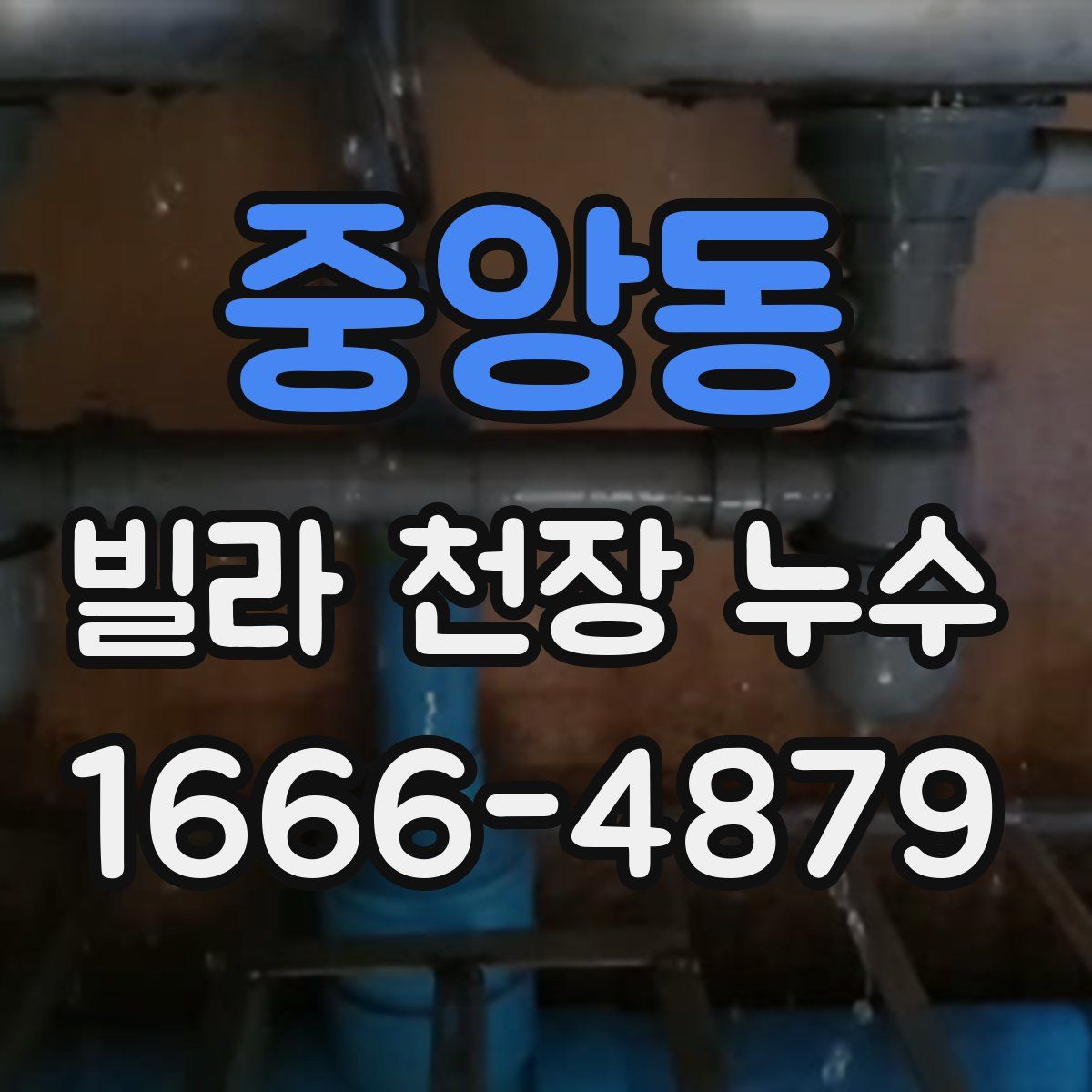 중앙동 빌라 천장 누수