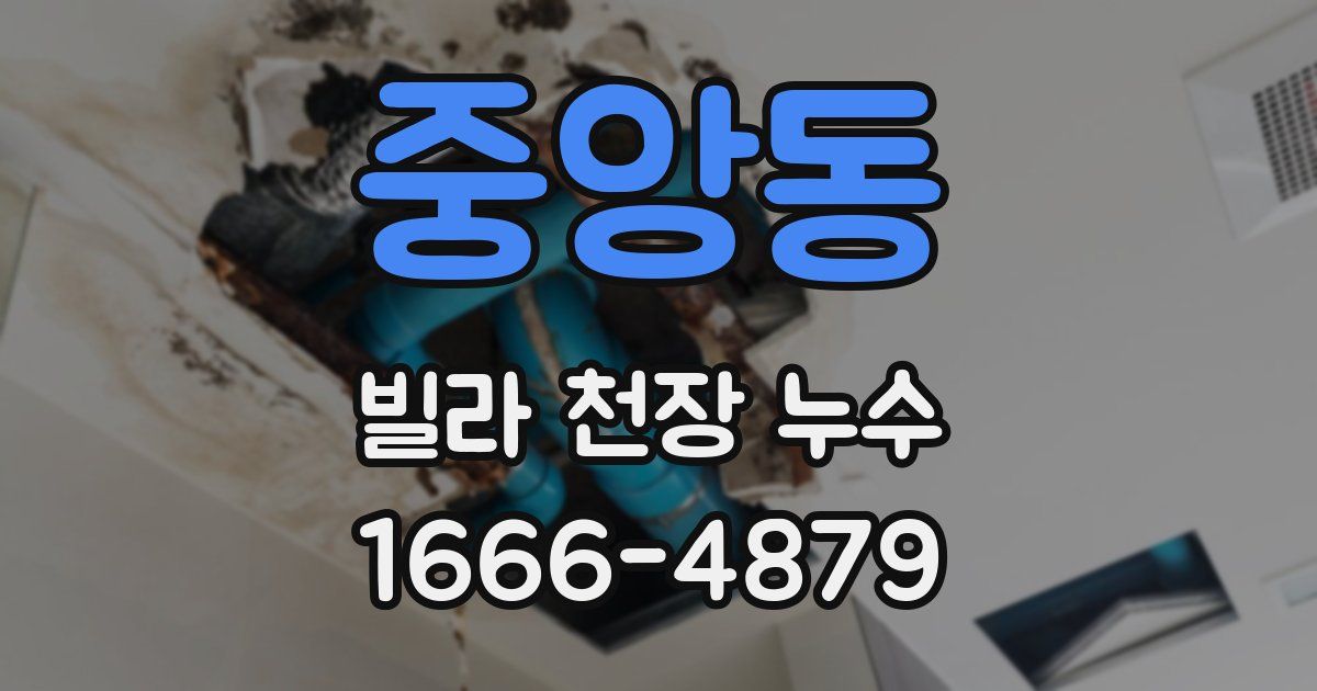 중앙동 빌라 천장 누수