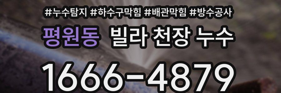 평원동 빌라 천장 누수
