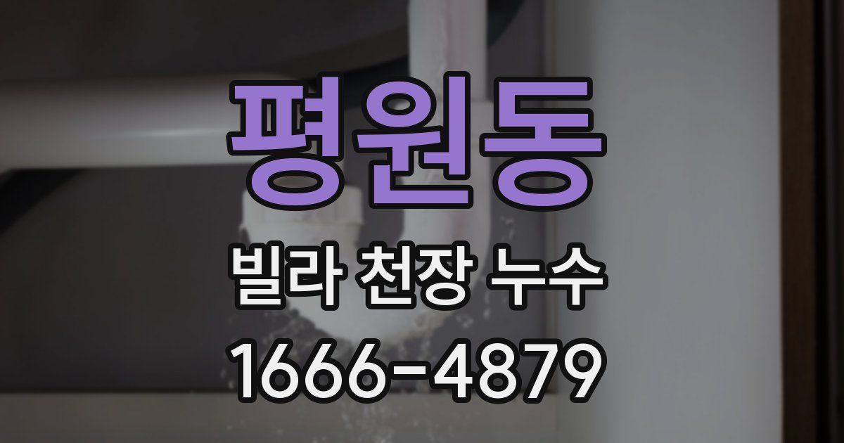 평원동 빌라 천장 누수