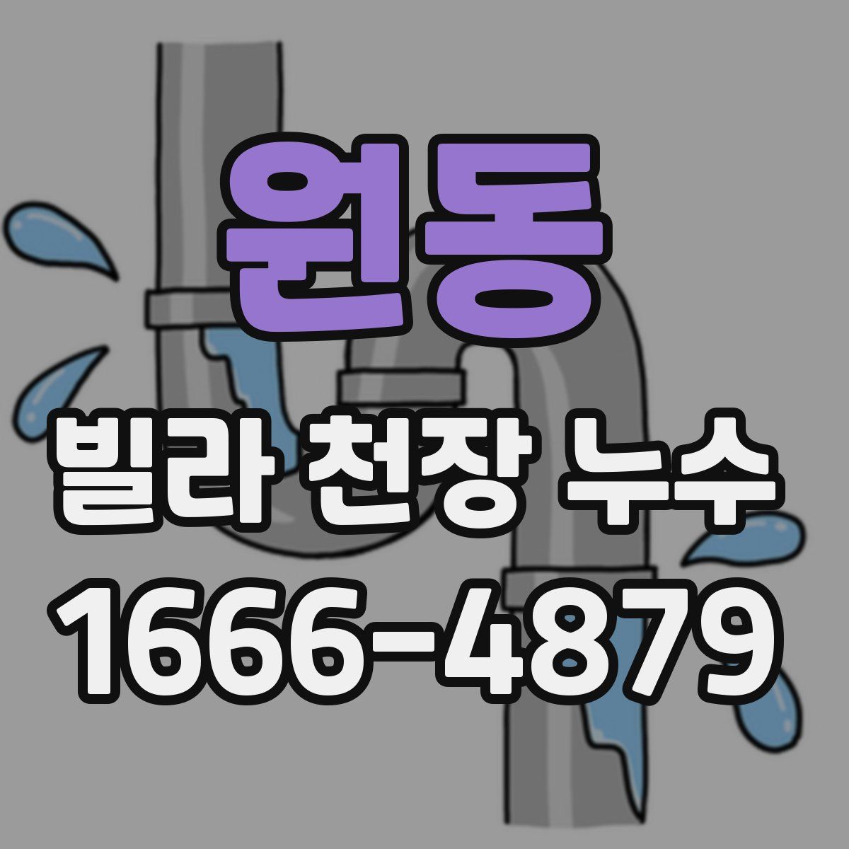 원동 빌라 천장 누수