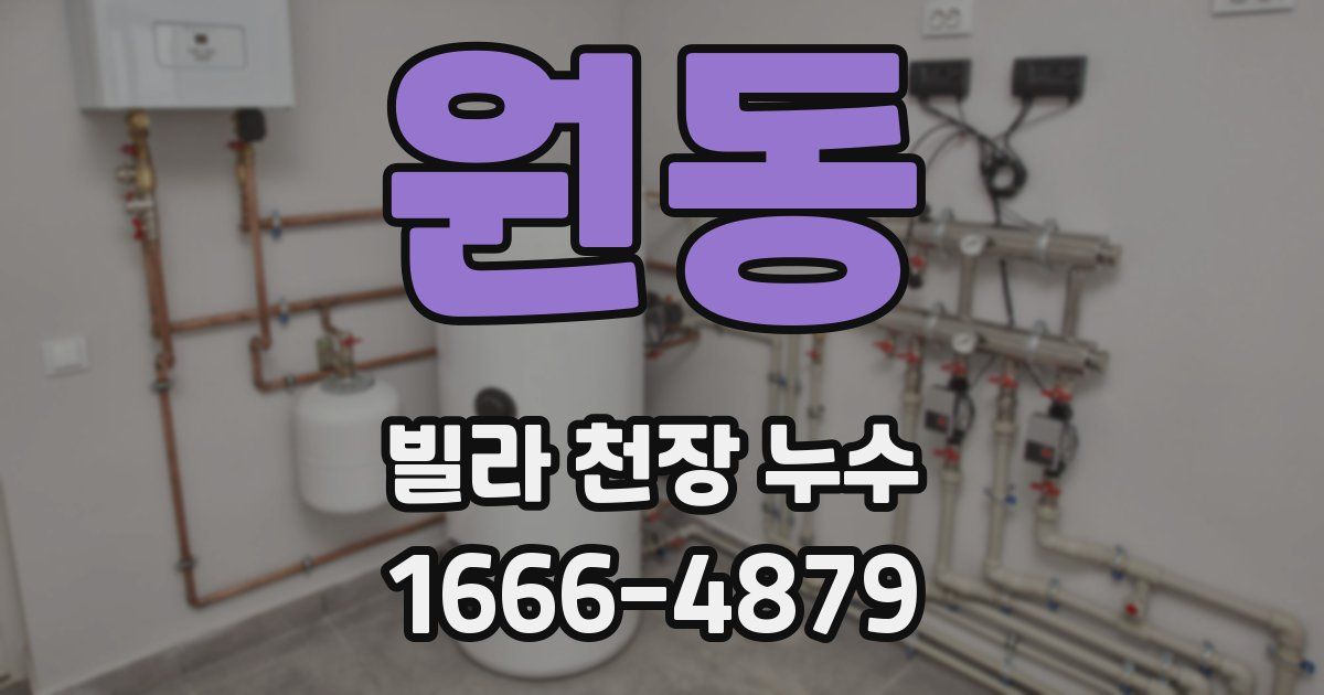 원동 빌라 천장 누수