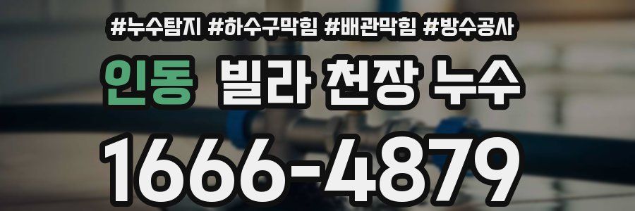 인동 빌라 천장 누수
