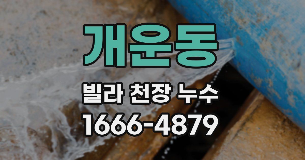 개운동 빌라 천장 누수