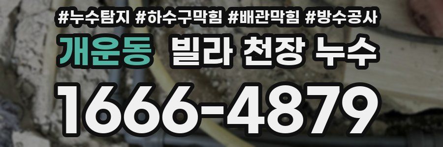 개운동 빌라 천장 누수