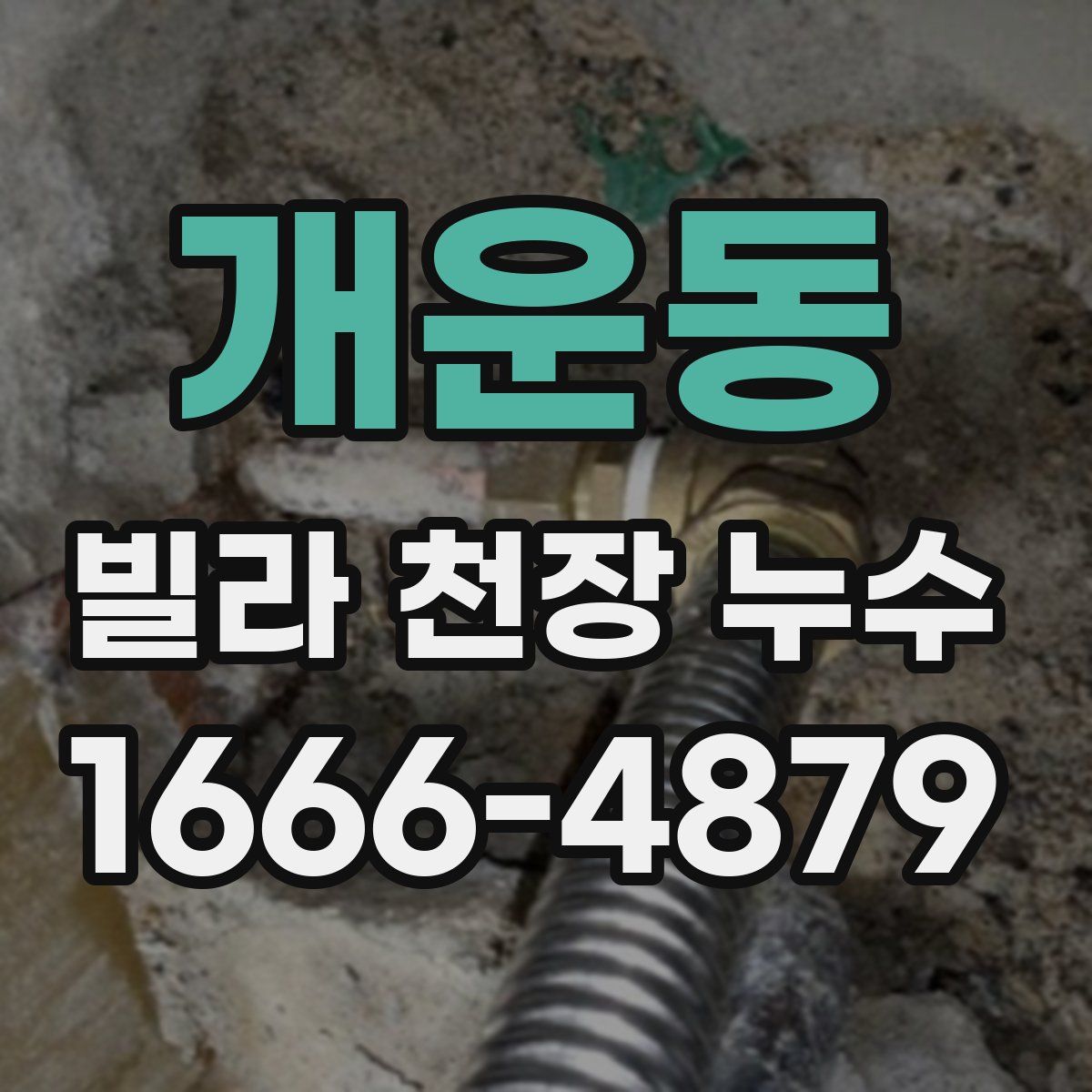 개운동 빌라 천장 누수
