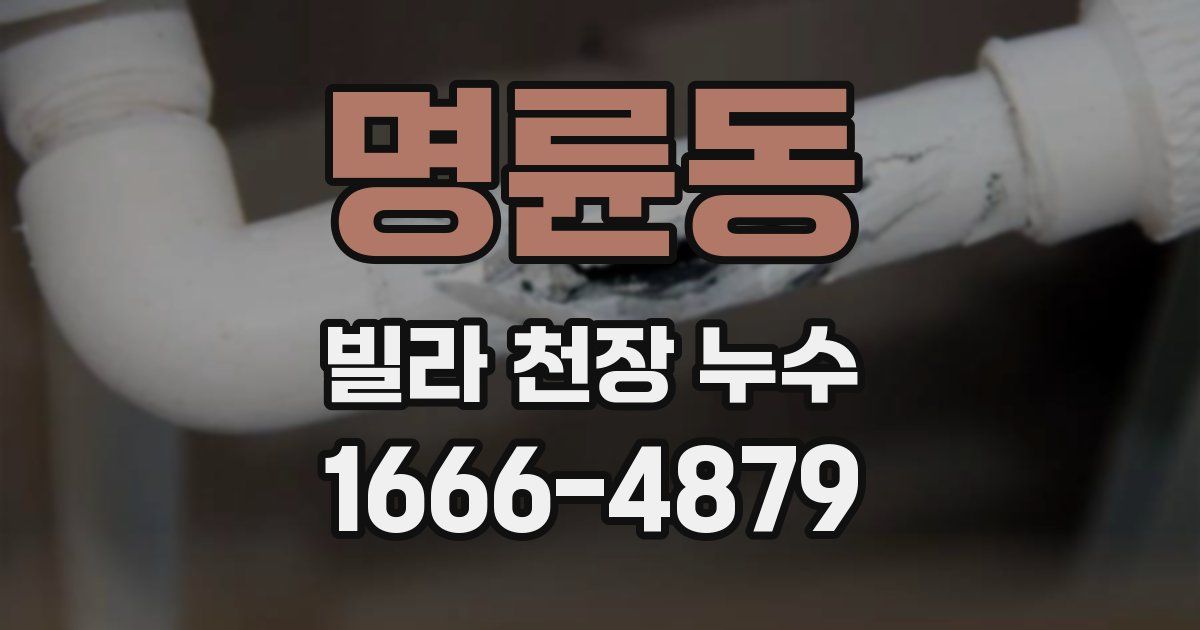 명륜동 빌라 천장 누수