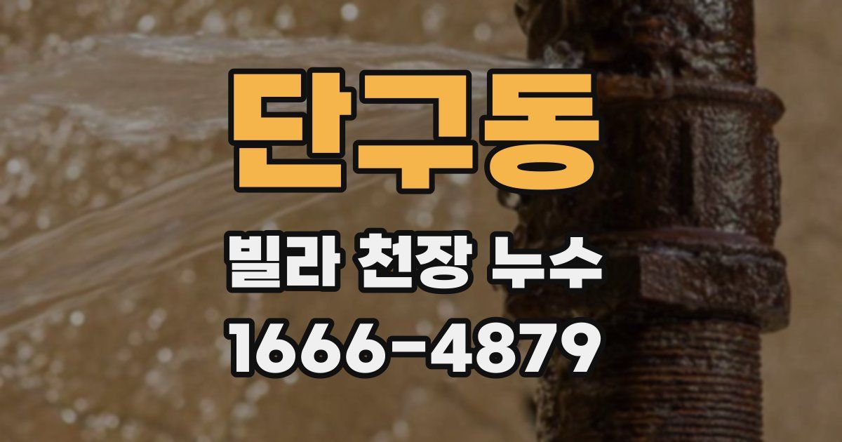 단구동 빌라 천장 누수