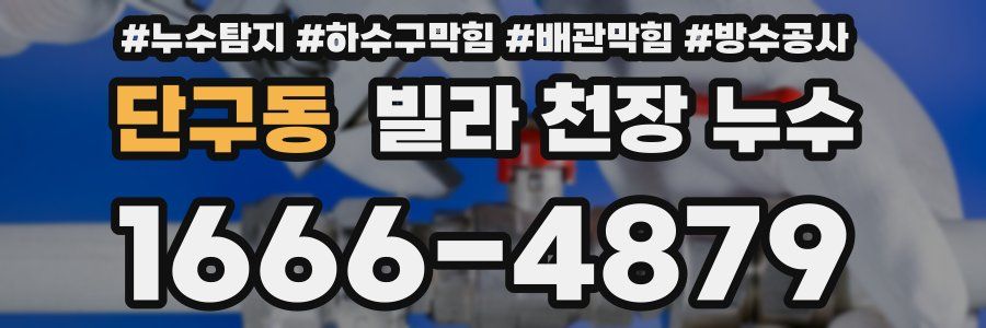 단구동 빌라 천장 누수