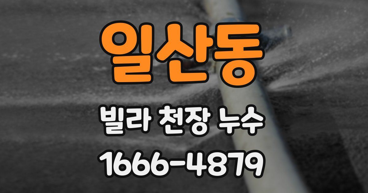 일산동 빌라 천장 누수