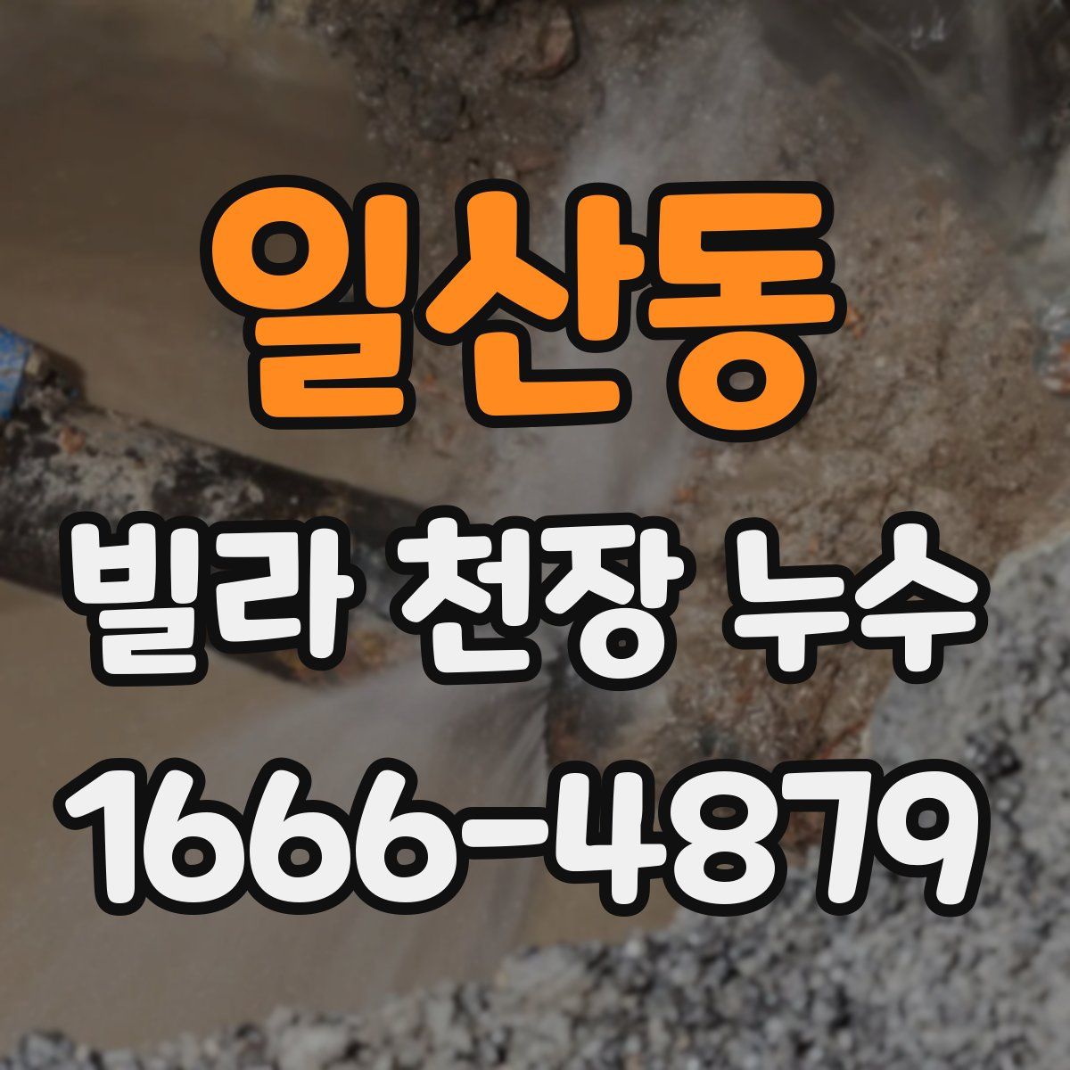 일산동 빌라 천장 누수