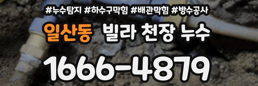 일산동 빌라 천장 누수