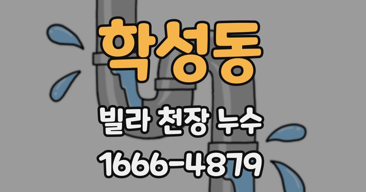 학성동 빌라 천장 누수