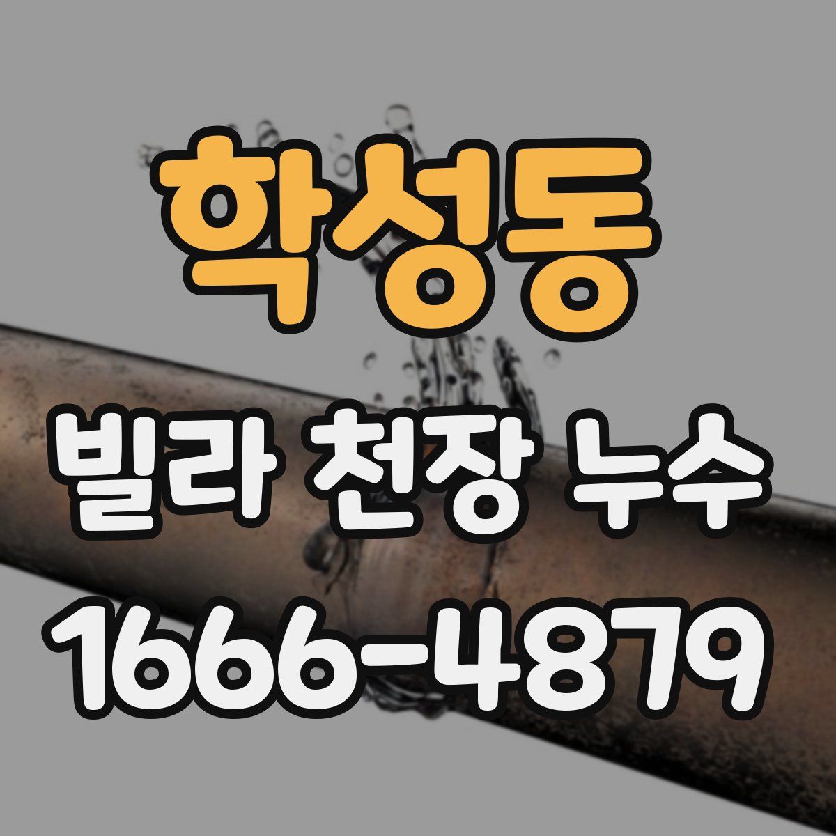 학성동 빌라 천장 누수