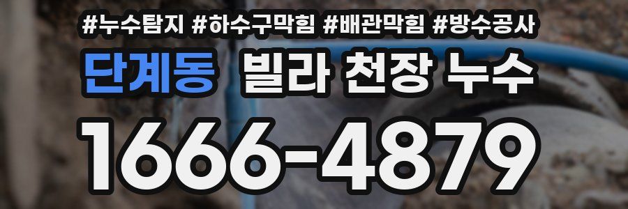 단계동 빌라 천장 누수