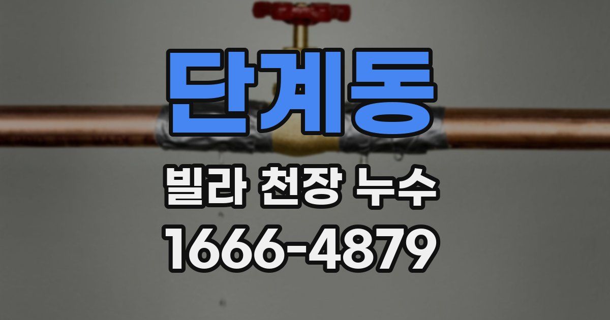 단계동 빌라 천장 누수