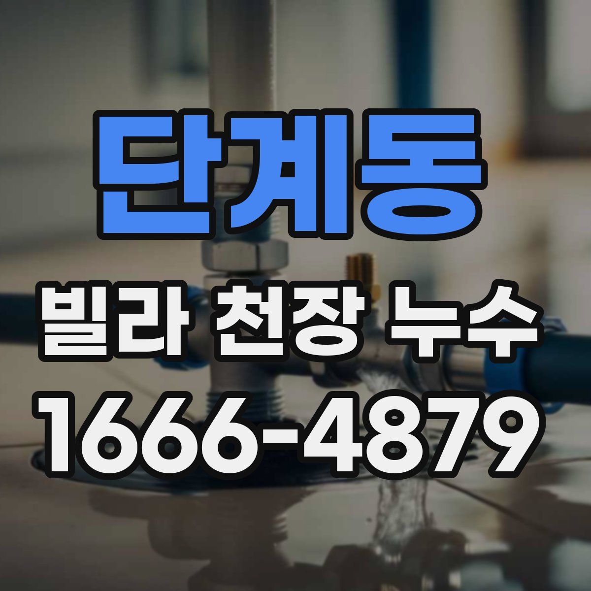 단계동 빌라 천장 누수