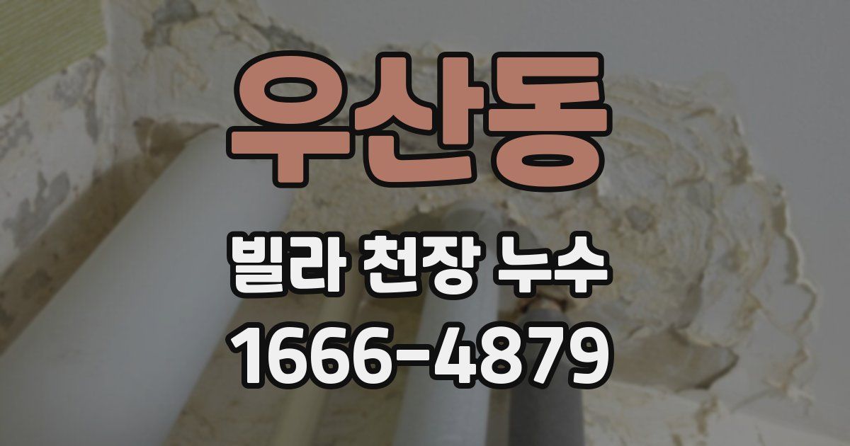 우산동 빌라 천장 누수