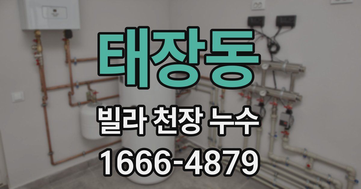 태장동 빌라 천장 누수