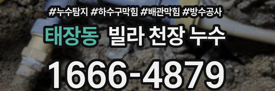 태장동 빌라 천장 누수