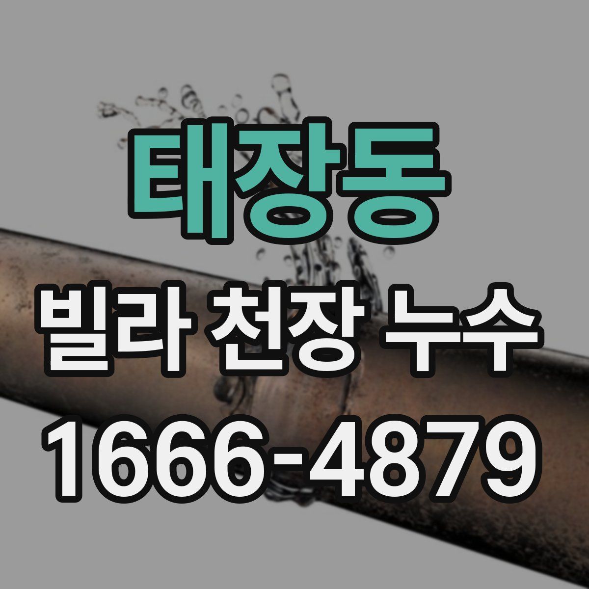 태장동 빌라 천장 누수