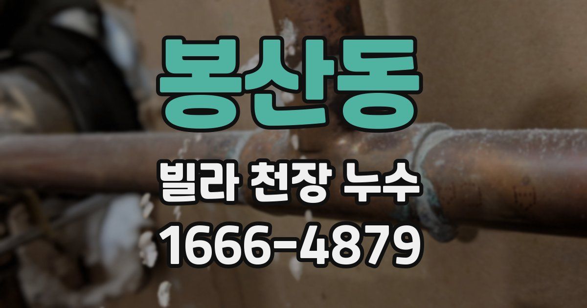 봉산동 빌라 천장 누수