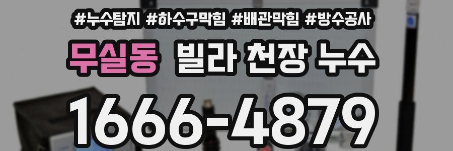 무실동 빌라 천장 누수