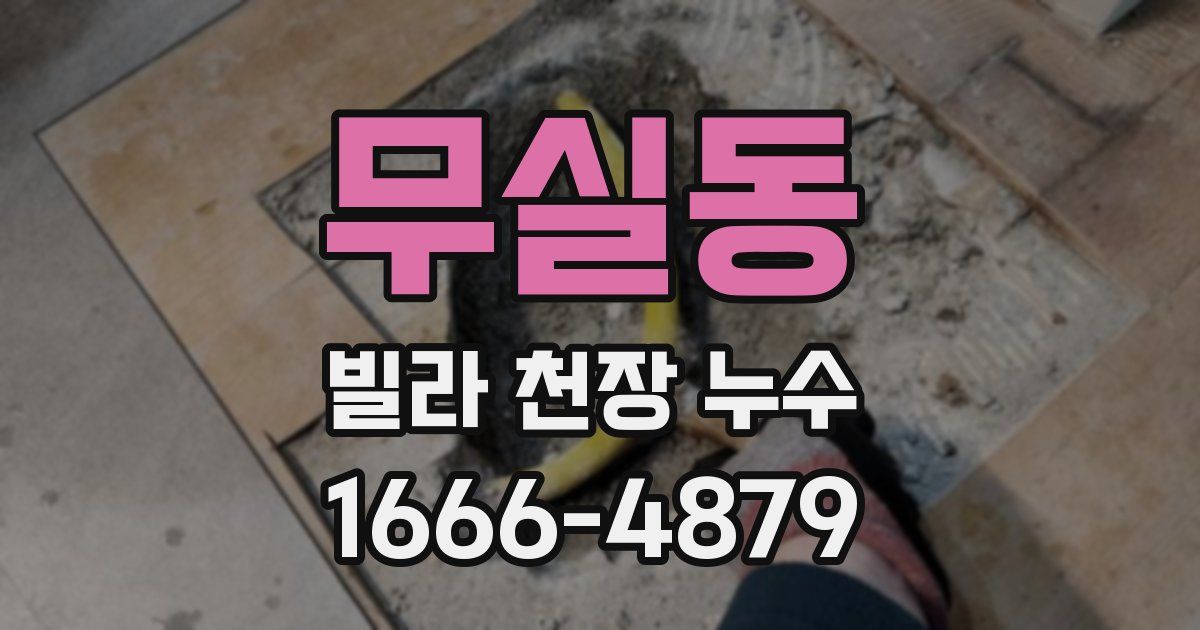 무실동 빌라 천장 누수