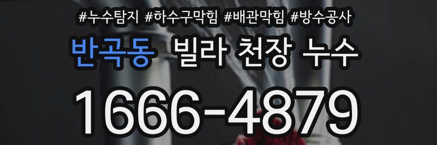 반곡동 빌라 천장 누수