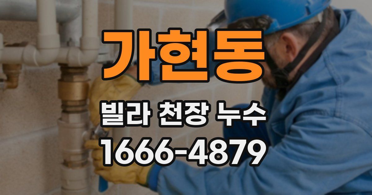 가현동 빌라 천장 누수