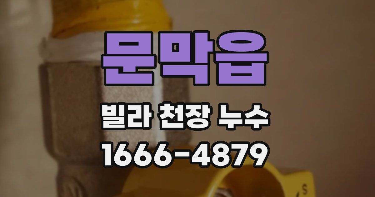 문막읍 빌라 천장 누수