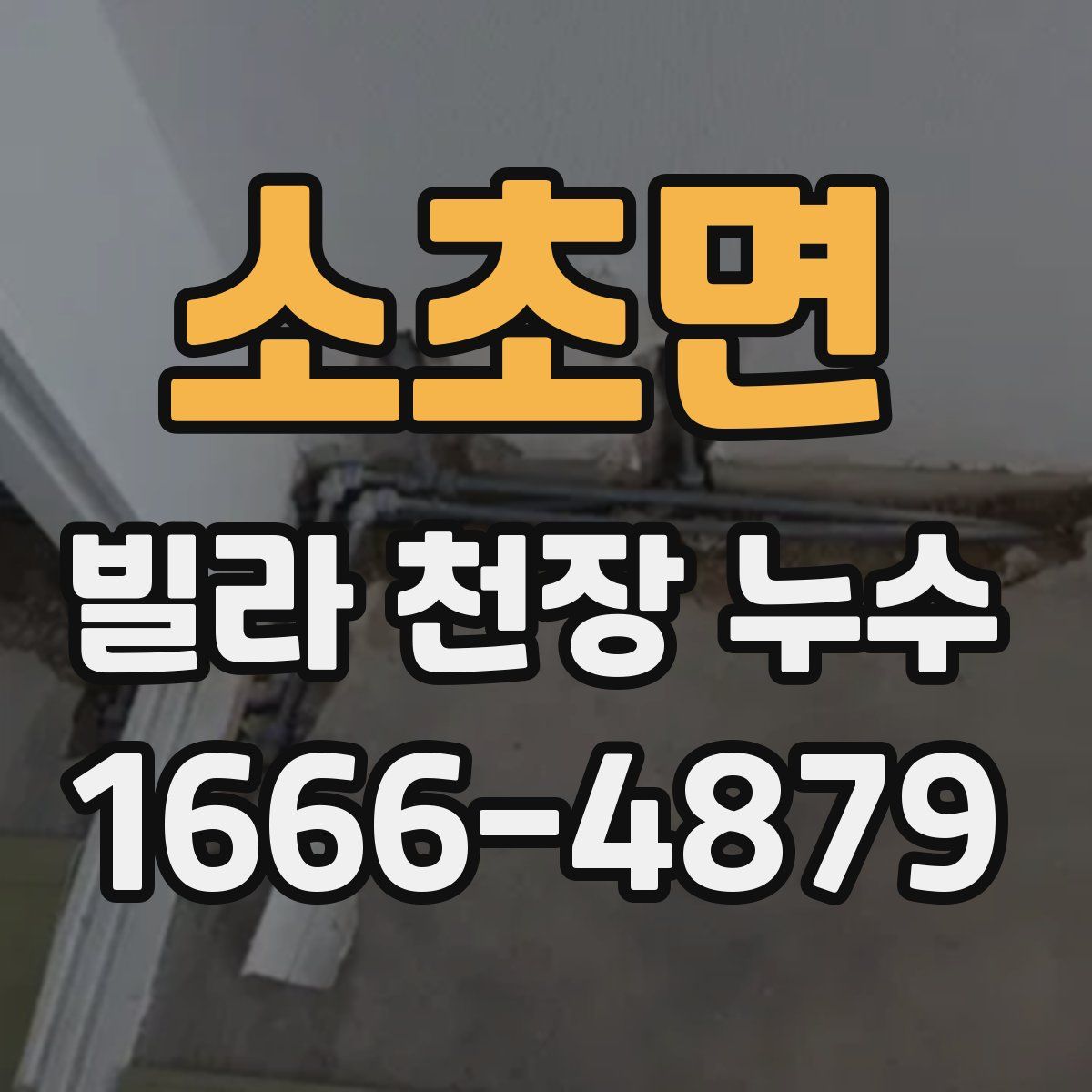 소초면 빌라 천장 누수