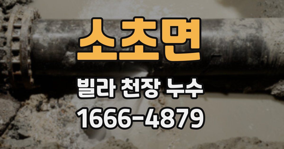 소초면 빌라 천장 누수