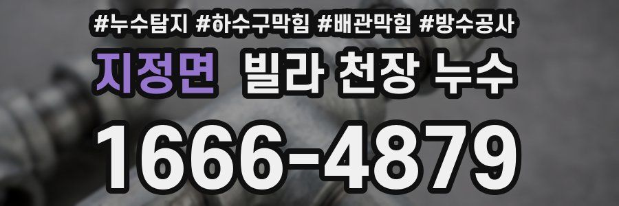 지정면 빌라 천장 누수