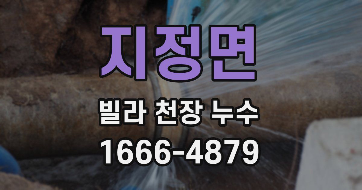 지정면 빌라 천장 누수