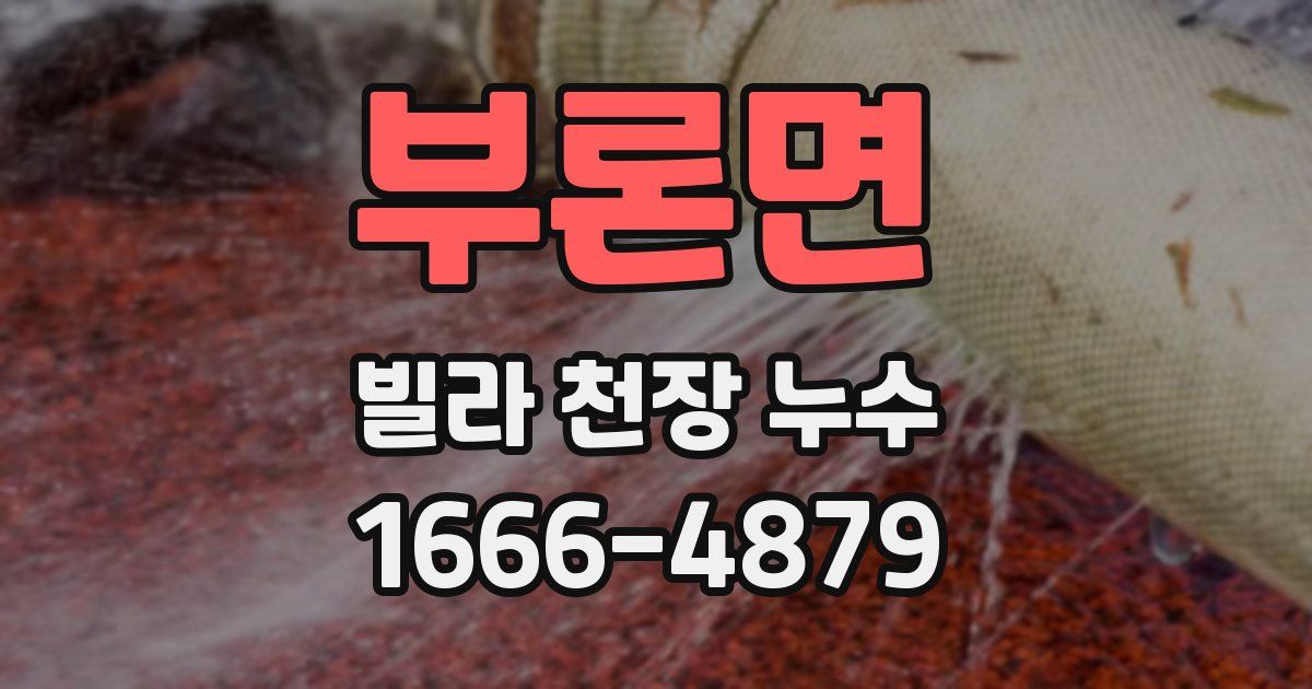 부론면 빌라 천장 누수