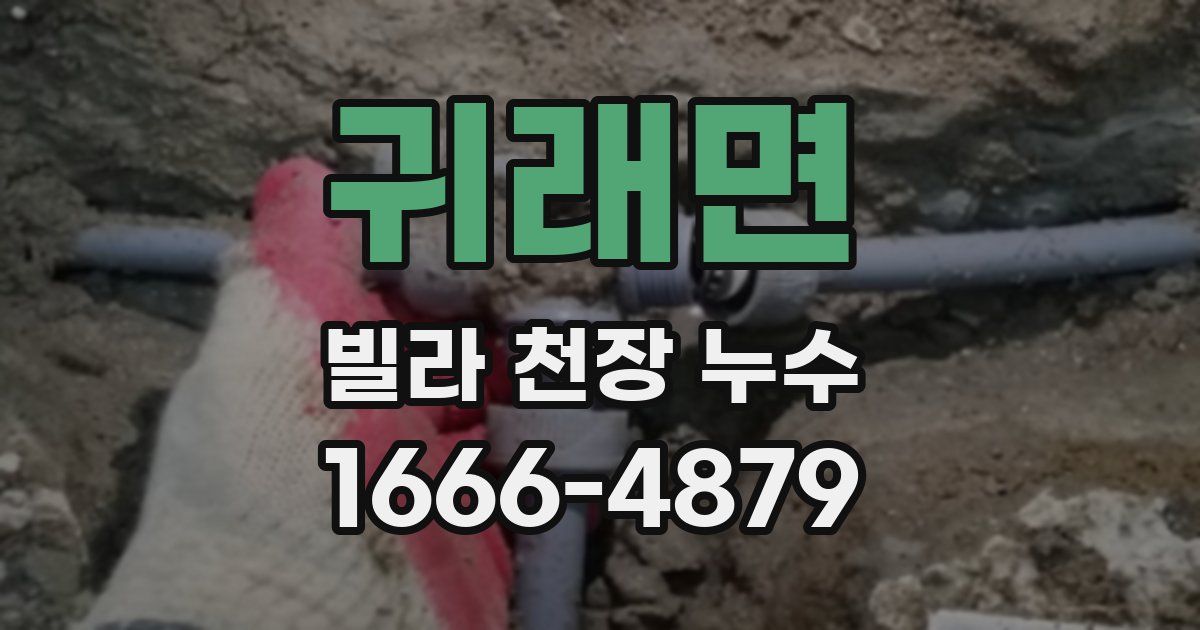 귀래면 빌라 천장 누수