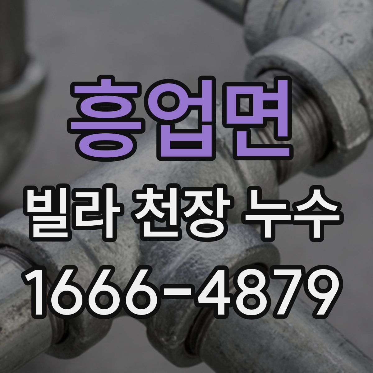 흥업면 빌라 천장 누수
