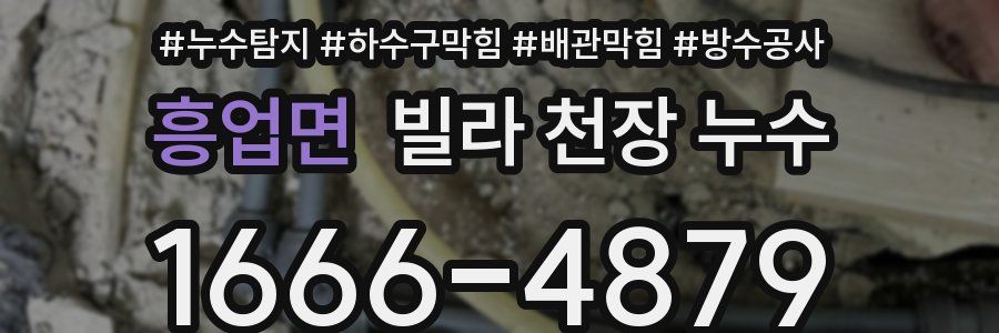 흥업면 빌라 천장 누수