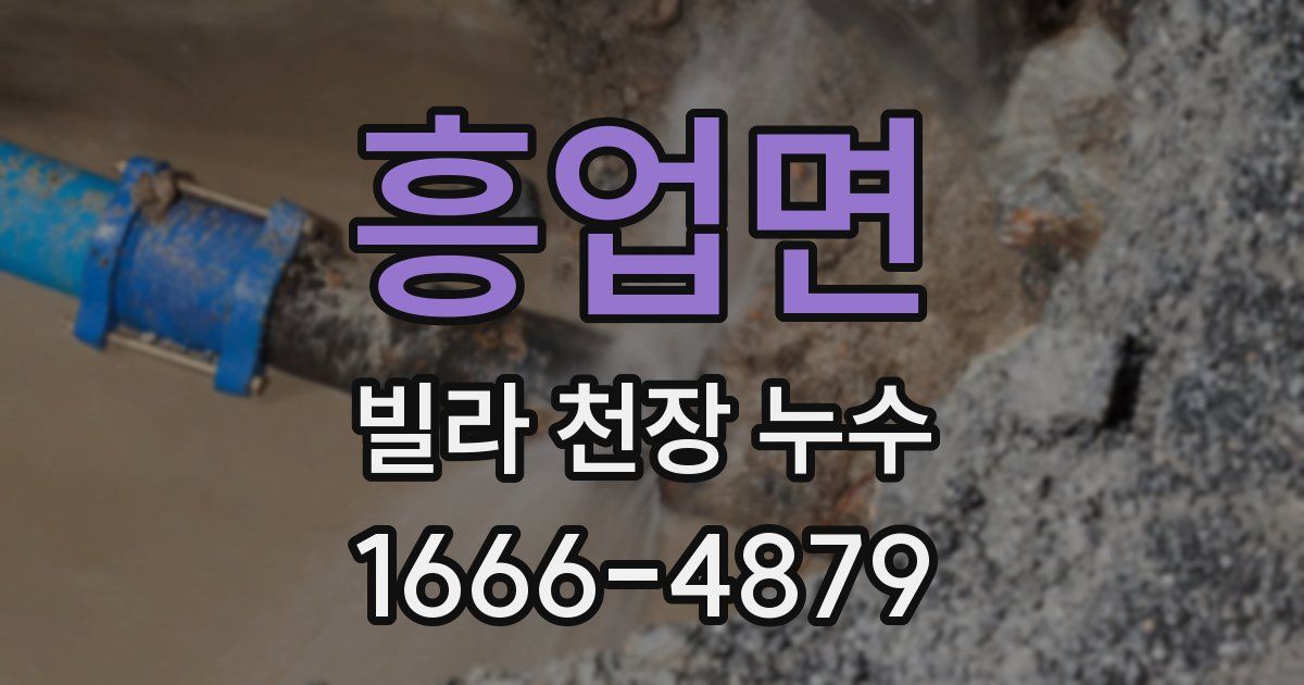 흥업면 빌라 천장 누수