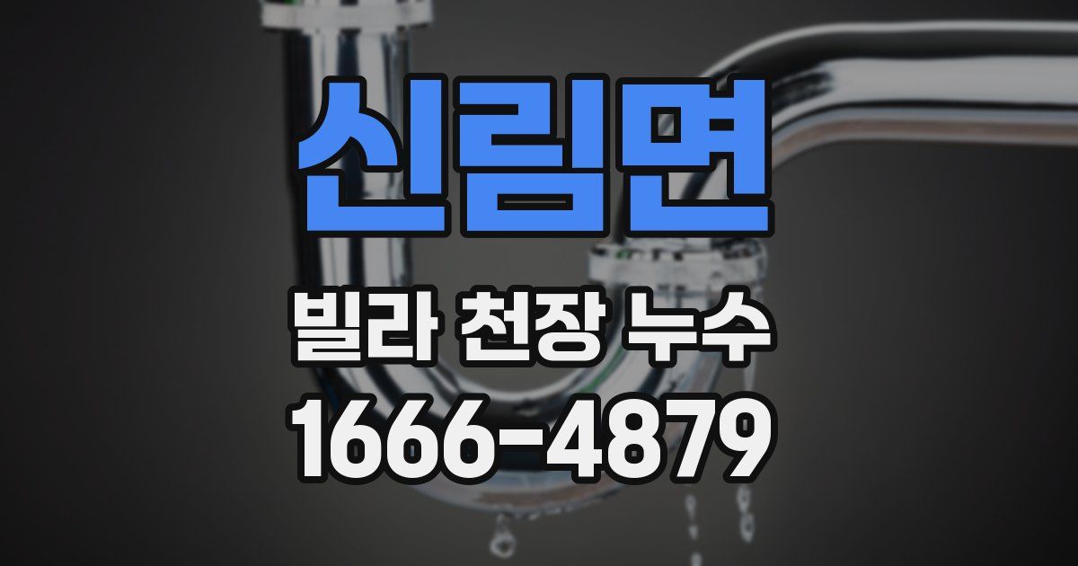 신림면 빌라 천장 누수