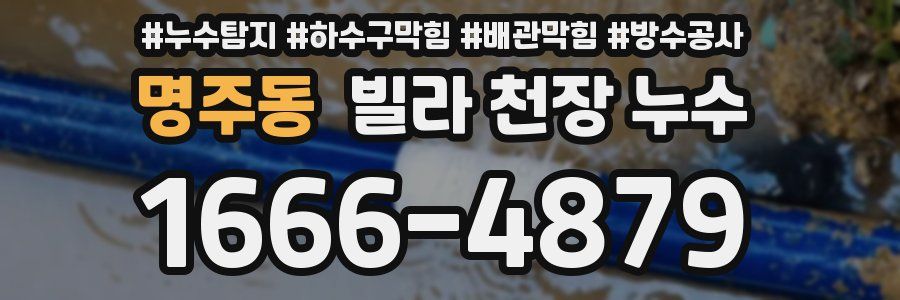 명주동 빌라 천장 누수