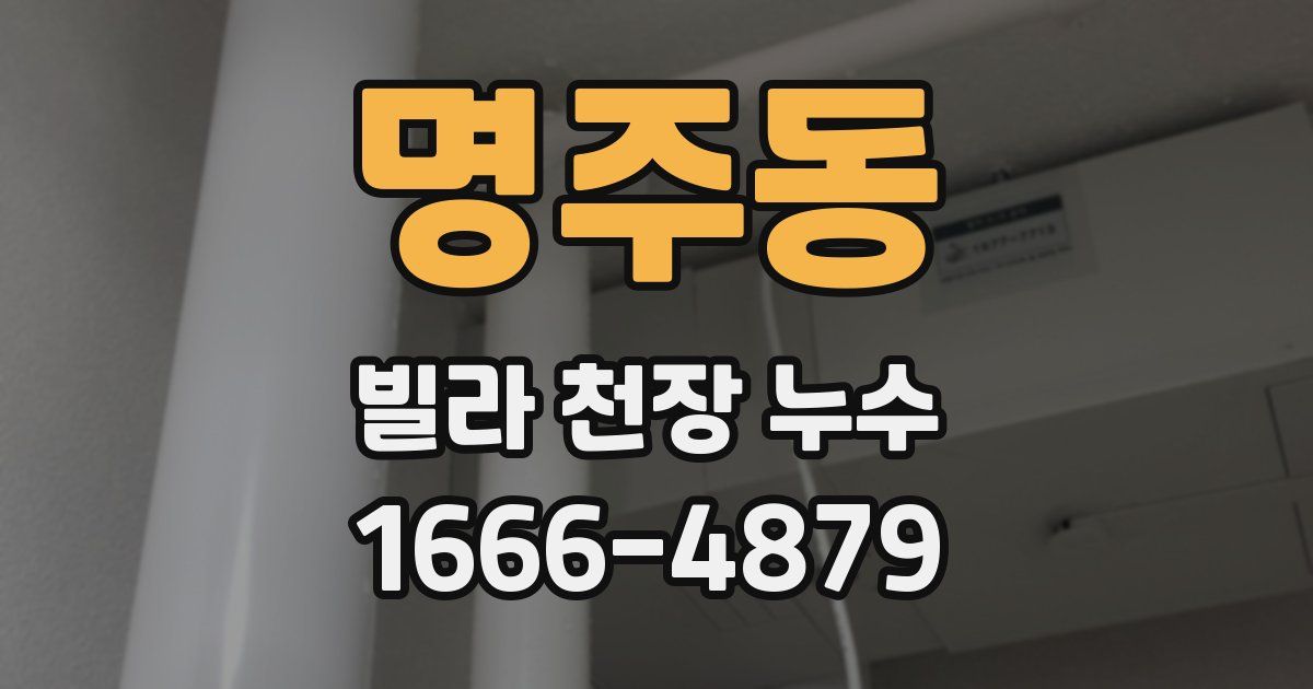 명주동 빌라 천장 누수