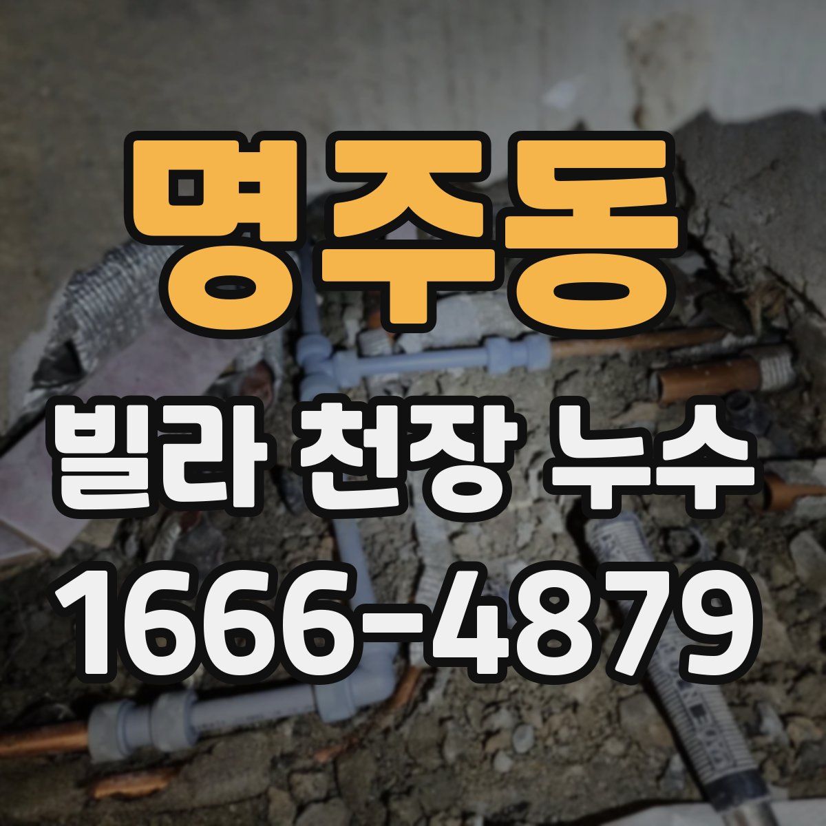명주동 빌라 천장 누수