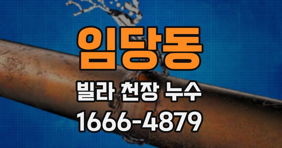 임당동 빌라 천장 누수