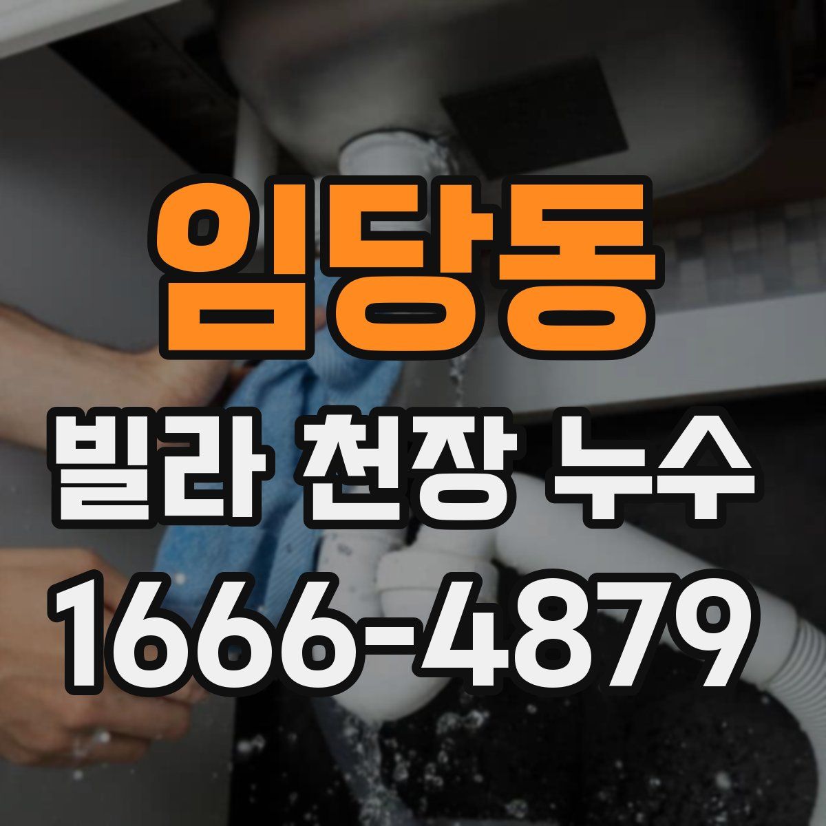 임당동 빌라 천장 누수