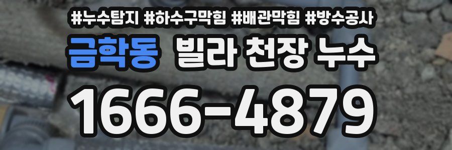 금학동 빌라 천장 누수